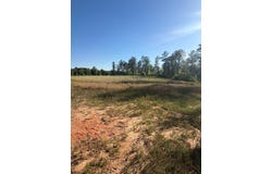 1139 W CR 19, ARITON, AL 36311