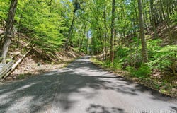 V/L W Thomas Road, Shelby, MI 49455