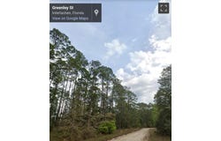 00 Greenley ST, Palatka, FL 32148