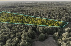 00 Woodland Trail, Traverse City, MI 49684