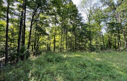 Lot 2 Rt 417, Bolivar, NY 14715