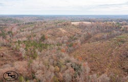 0 Steele Rd, Jasper, AL 35503