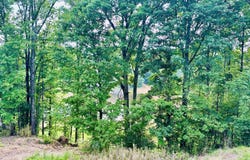 U.s. 49, Bentonia, MS 39040