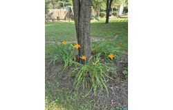 1060 EAST RIVER RD, PALMYRA, VA 23055