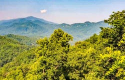 10 Ridge Place, Bryson City, NC 28713