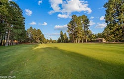 3231 W Old Linden Road, Show Low, AZ 85901