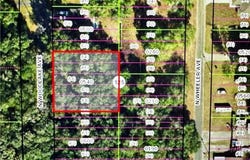 533 N Woodlake Avenue, Inverness, FL 34453
