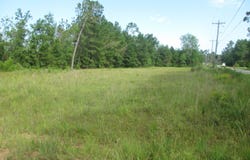 0 Pineland, Hazlehurst, GA 31539