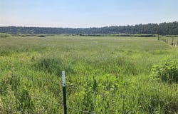 Tbd County Road 531/340, Los Ojos, NM 87575