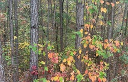 127 Spring Lake, White, GA 30184