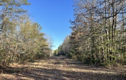 County Road 39, Selma, AL 36701