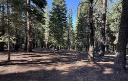 11710 Tundra Drive, Truckee, CA 96161