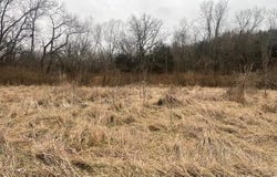 Argo Road, Independence, MO 64057