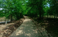 520 Senterfeit Road, Batesburg, SC 29006