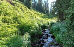 Road 51, Silverton, CO 81433