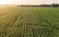TBD US HWY 61, Burlington, IA 52601