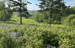 27 Redoubt Hill Road, Eastport, ME 04631