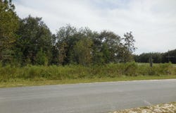 6291 NE 112TH Terrace, WILLISTON, FL 32696