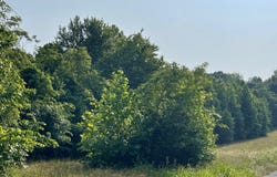 8700  Brushy Fork Road, Tell City, IN 47586