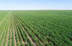 County Rd 81 S, Vernon, TX 76384