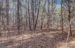 Lot 30 Benjamin Brown, Elberton, GA 30635