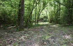 0000 Pole Thickett Road, Black Sprs., AR 71960
