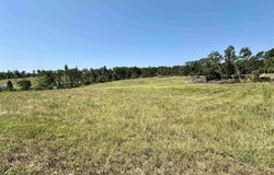 0 Cold Creek Lane, Cave City, AR 72521