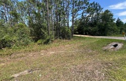 3974 NW Joy Lane, Altha, FL 32421