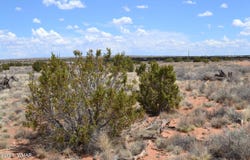 Lot 020d E 24th North Street, Snowflake, AZ 85937