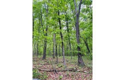 Tract D Madison CR 5450, Elkins, AR 72727