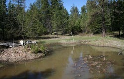 Bowler Rd, Springdale, WA 99173