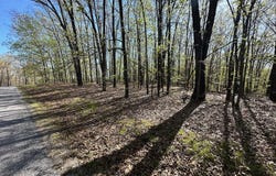 L42a & 43a Eaglecrest Road, Cape Fair, MO 65624