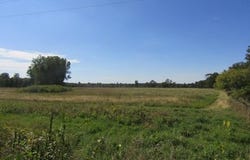 V/L Morrice Rd., Owosso, MI 48867