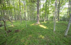 GILKEY LAKE Road, CRIVITZ, WI 54114