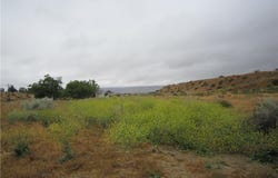 205 Castro Canyon Road, Cuyama, CA 93252