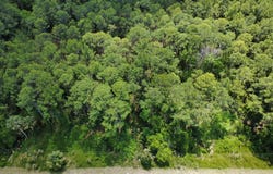 Apricot Avenue, Eustis, FL 32736