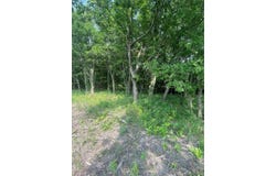 County Line, Commerce, TX 75428