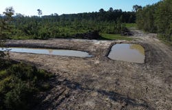 Stable Ln, Ridgeville, SC 29472