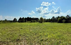 2379 County Road 73, Newville, AL 36353