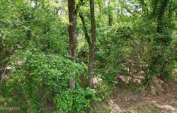 Chapel Hill Road, Utica, MS 39175