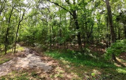 000 Long Gum Lane, Russellville, AR 72802