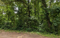 Lakeside Drive, Ozark Acres, AR 72482