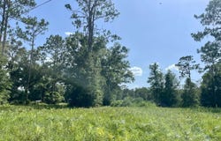McAlpin, FL 32062