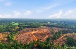 Flat Rock Road, Heath Springs, SC 29058