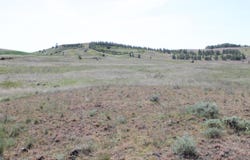 S Rock Lake Rd, Cheney, WA 99004