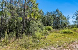 1 Pilgrim Rest Road, DeQuincy, LA 70633