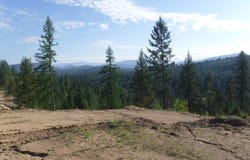 Lot 2 Moose Ridge Way, Loon Lake, WA 99148