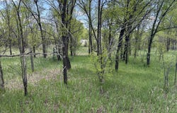 412 S Grand Avenue, Las Vegas, NM 87701
