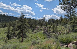 2989 Red Ashby Rd, Virginia Dale, CO 80536