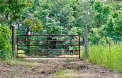 County Road 207, Eureka Springs, AR 72632